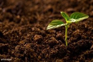 Diplomado en Geoquímica Ambiental de Suelos uc