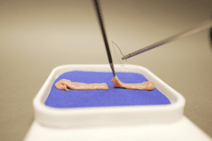 Avanzado de laparoscopía pediátrica y neonatal: Nudos y suturas