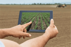 Diplomado en Gestión de Agronegocios