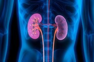 Sistema renal y anestesia
