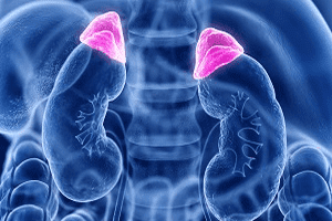 patología hipotálamo hipofisaria suprarrenal