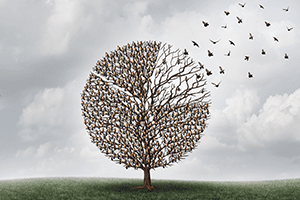 Psicoterapia, filosofía y espiritualidad