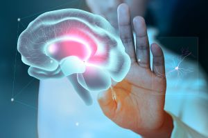 Diplomado en Neuropsicología: perspectivas teórico-prácticas para la comprensión de alteraciones cognitivas a lo largo del ciclo vital