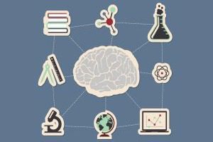 proyectos perspectiva ciudadana