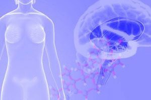 Diplomado en Endocrinología ginecológica