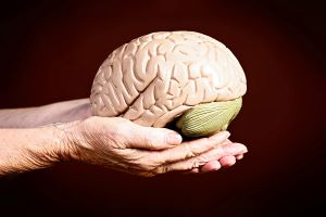 Diplomado en Neuropsicología y neuropsiquiatría del adulto. Fundamentos teóricos