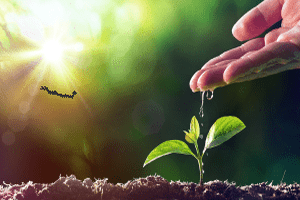 Diplomado en Gestión de la pequeña y mediana empresa PYME-UC