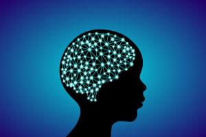 Neurodesarrollo y formación temprana del cerebro infantil