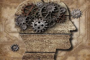 Diplomado en neurociencias: Bases biológicas de la conducta para la educación y la salud