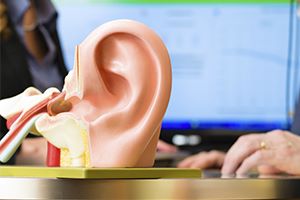 Audífonos e implantes auditivos