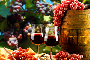 Diversidad y riqueza de los vinos de Chile