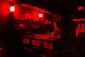 Fotografía Análoga