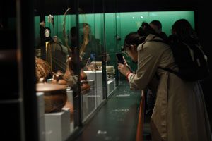 Diplomado en Desarrollo y gestión de museos, patrimonios y comunidades