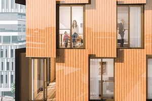 Diseño y cálculo estructural en madera