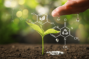 Diplomado en Química Sustentable y Gestión de la Huella Ambiental